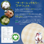 オーガニックコットン カラーコットン SHAMYMOON 雲まゆ