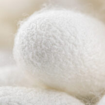 シルクの特徴。 |シルクとは？ 知りたいとこだけカンタン解説　