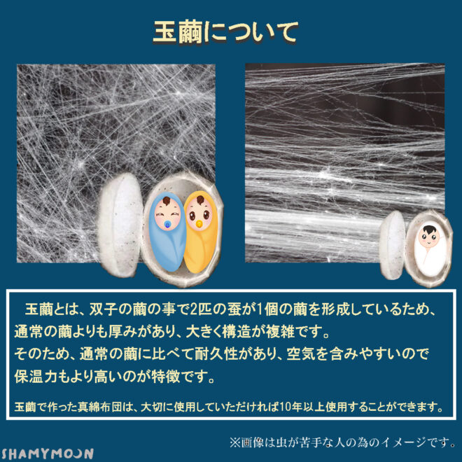 真綿の掛けふとん 雲まゆ（シルクオーガニックコットン2重